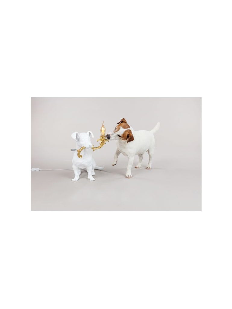 Seletti dog lamp store